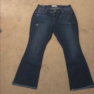 Torrid Flare Jeans